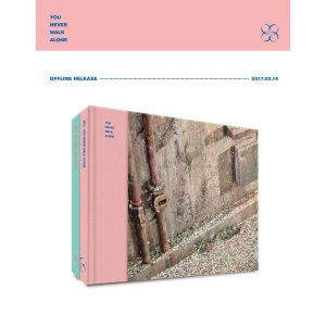 BTS - You never walk alone